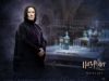 snape2.jpg