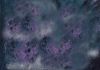 texture01.jpg