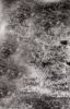 texture06.jpg