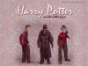 wallpaper_harrygobletfire.jpg