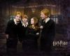 weasleys_.jpg