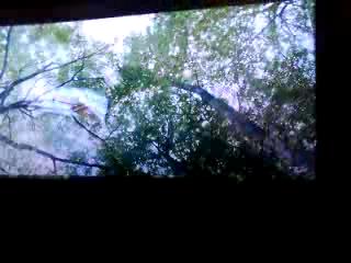 Frame198.jpeg Frame198.jpeg