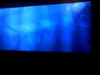 Frame274.jpeg Frame274.jpeg