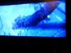 Frame176.jpeg
